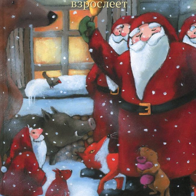 Книга: "Маленький Дед Мороз взрослеет" Ану Штонер